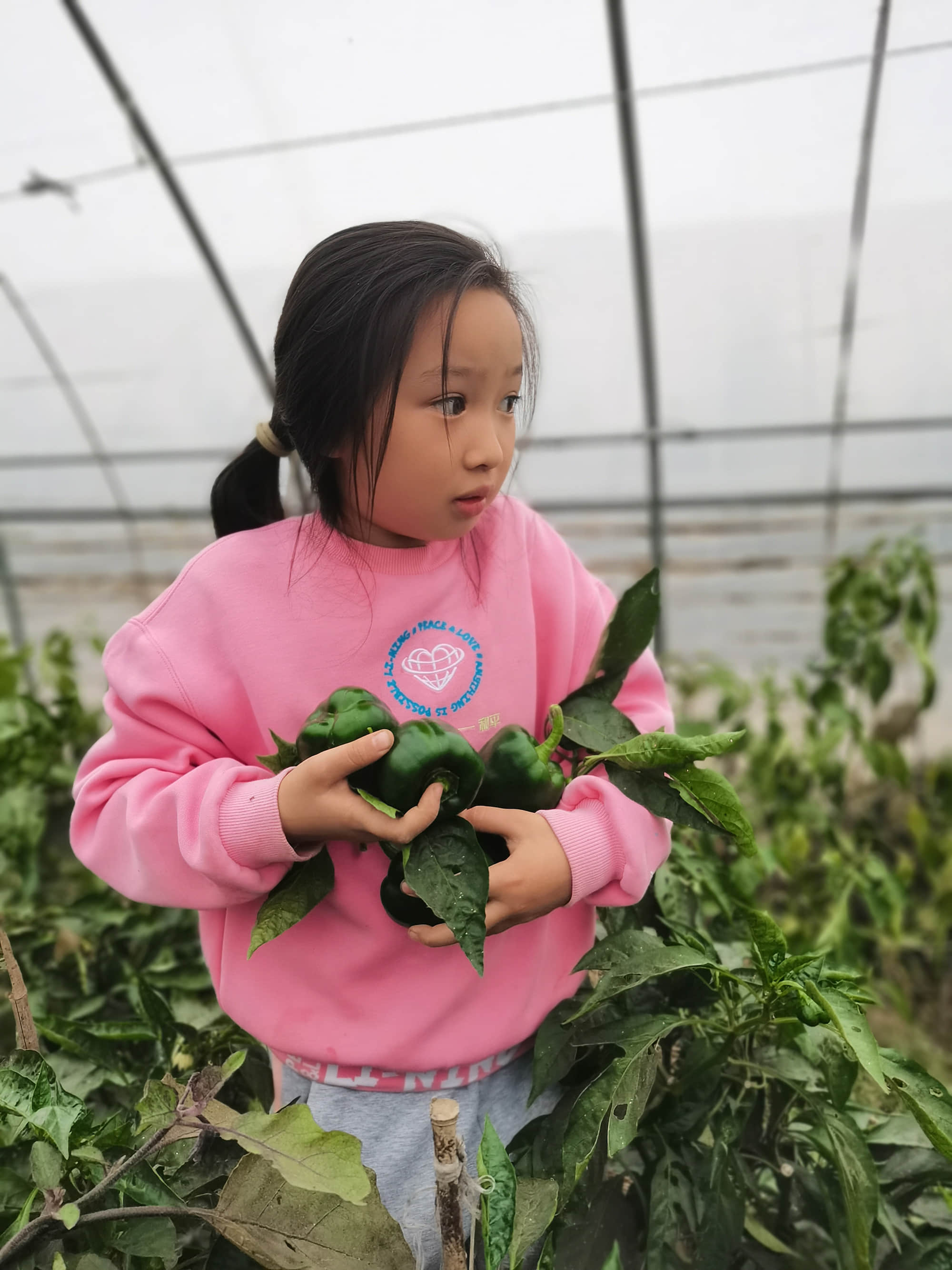 lw9jSciJPRsPbiVRd4uvWb4bJVE